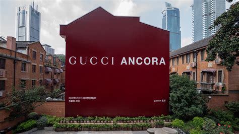 gucci ancora meaning|Gucci ancora china.